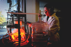 Biochemistry Program Fund